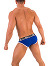 - Push - Premium Cotton Brief - Royal/Wei