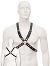 Black Leather Basic Harness