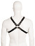 Black Leather Basic Harness