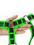 OUCH! Glow in the Dark - Harness - Verpackung besch�digt