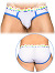 Pride Mesh Brief