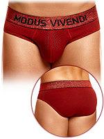 Exclusive Brief - Striped